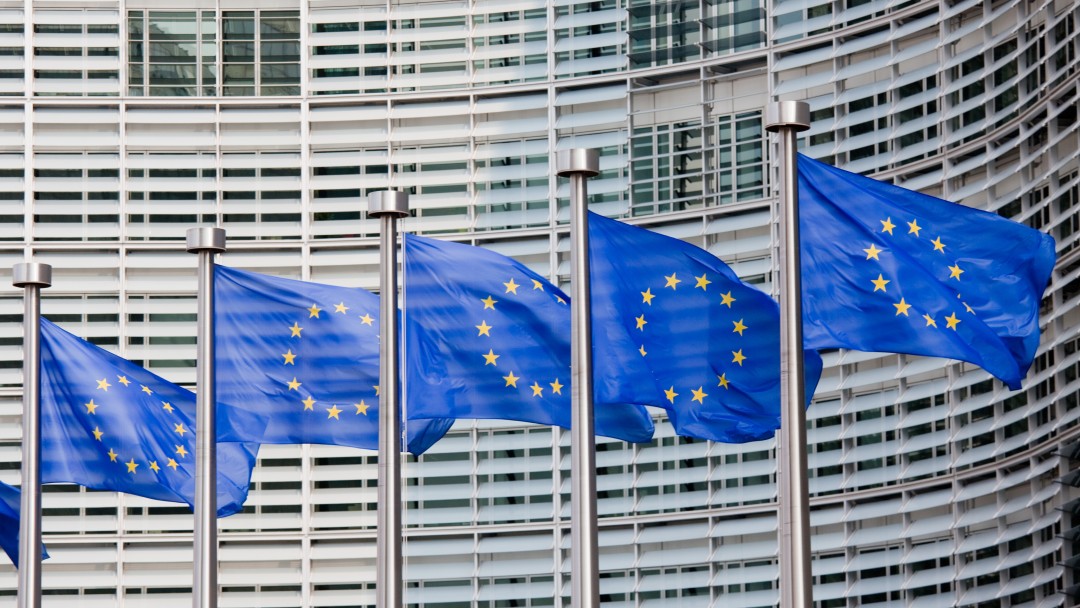 Flags of Europe in front of a building