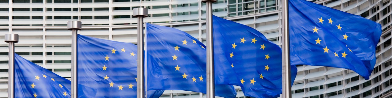 Europaflaggen wehen an Fahnenmasten vor einem Gebäude