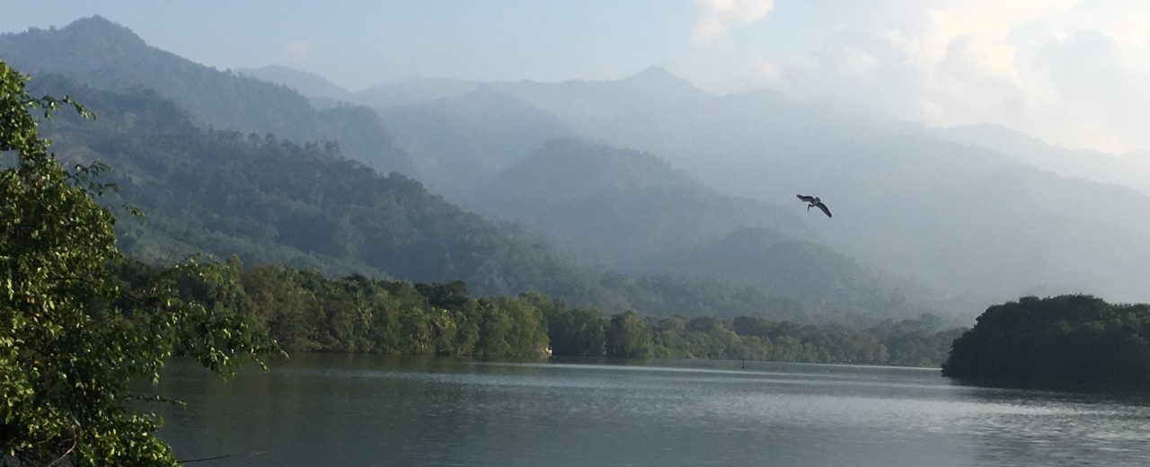 A nature conservation area in Honduras