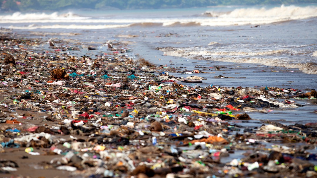 A beach littered with garbage