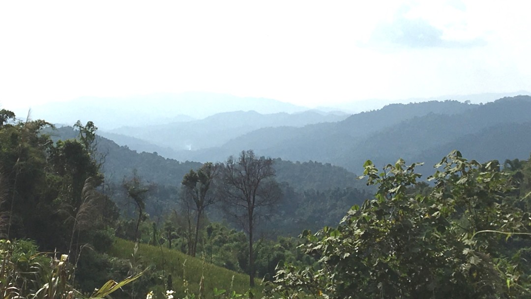 Waldgebiet in Laos, Berge im Hintergrund 