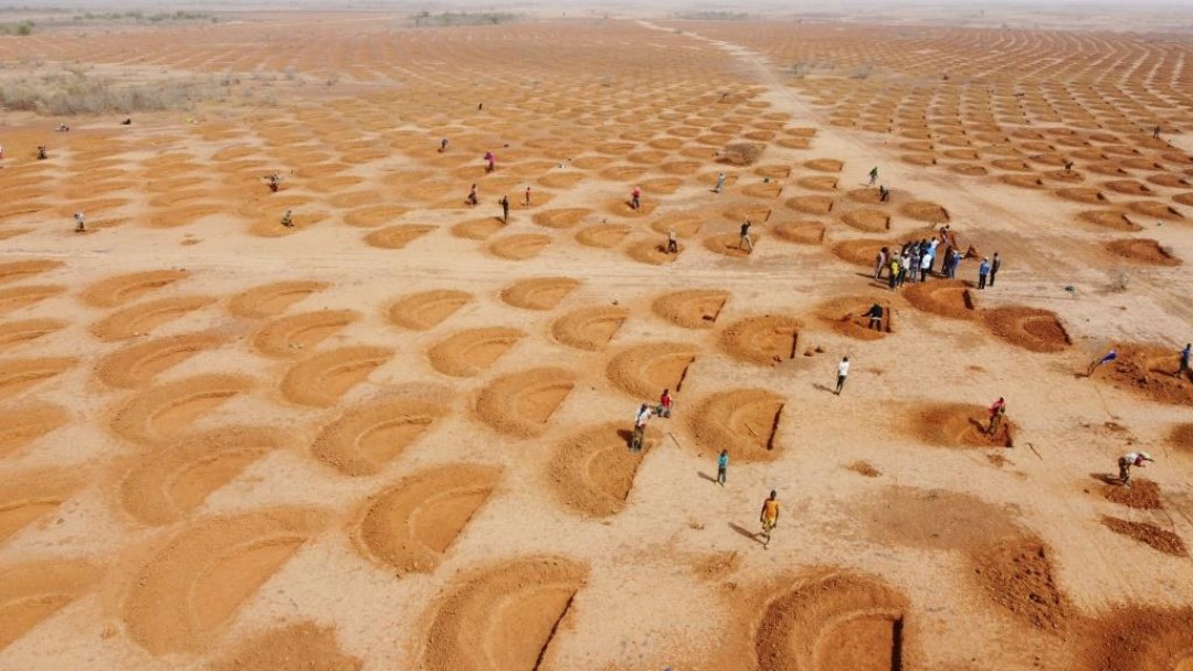 Sand mit halbkreisförmigen Muster auf denen mehrere Menschen laufen, Perspektive von oben. 