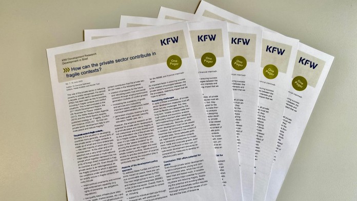 KfW, Entwicklungsbank, Publikationen, Development Research