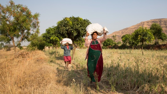 Indian smallholders carry food bags through a field