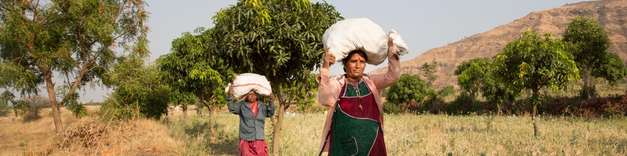 Indische Kleinbauern tragen Lebensmittelsäcke durch ein Feld