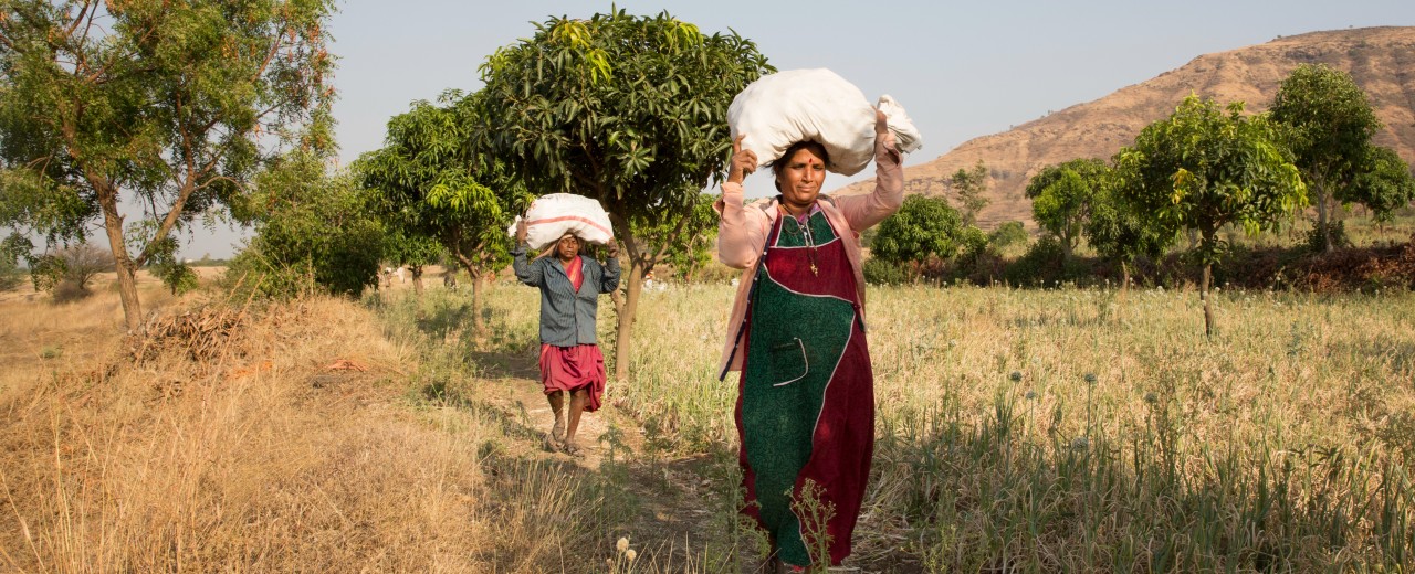 Indian smallholders are carrying food bags through a field