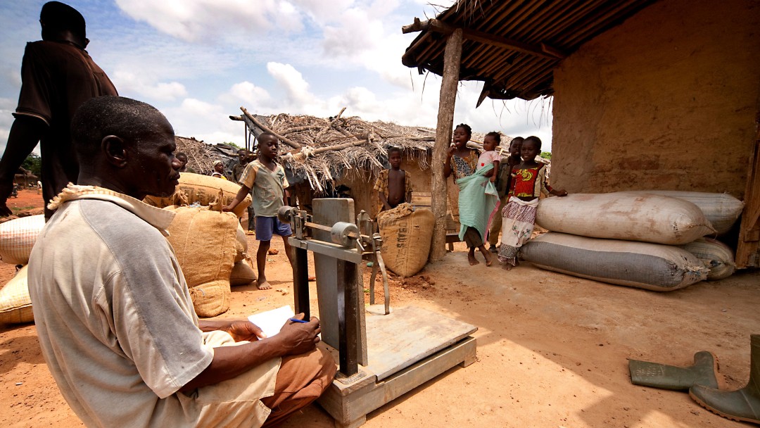 Man sitting in front of a scale with coffee bags around.