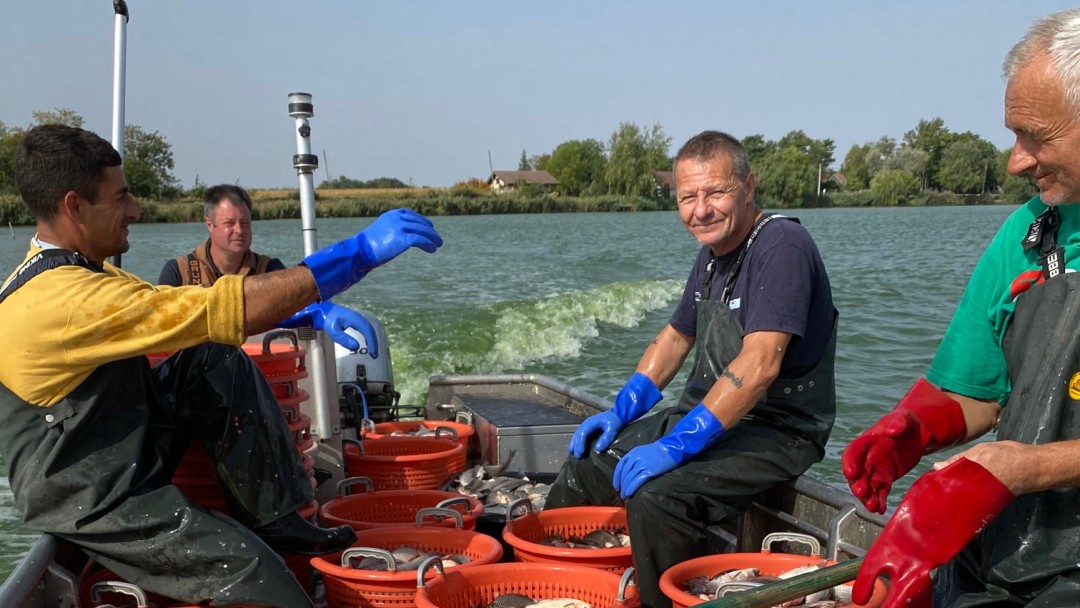 Serbische Fischer auf einem Boot mit Körben voller gefangenem Fisch