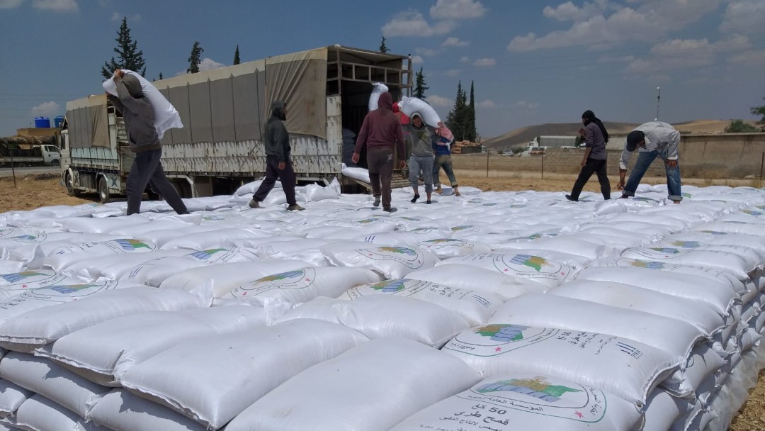 In June 2021, 10,000 tonnes of wheat will be delivered to 270,000 beneficiaries in Aleppo Governorate.