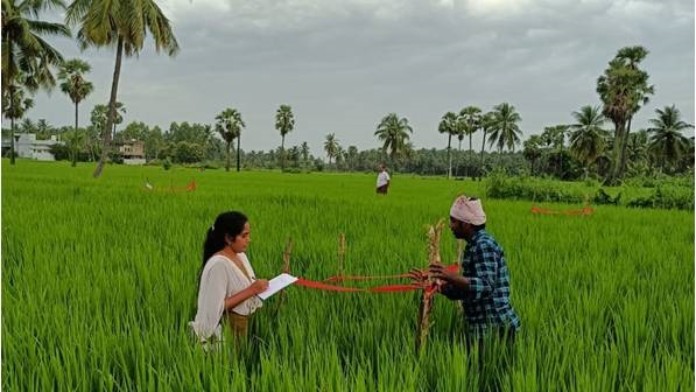 smallholders in India