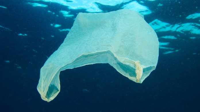 A plastic bag floating in the ocean