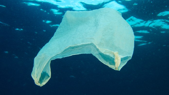 Plastiktüte schwimmt im Meer