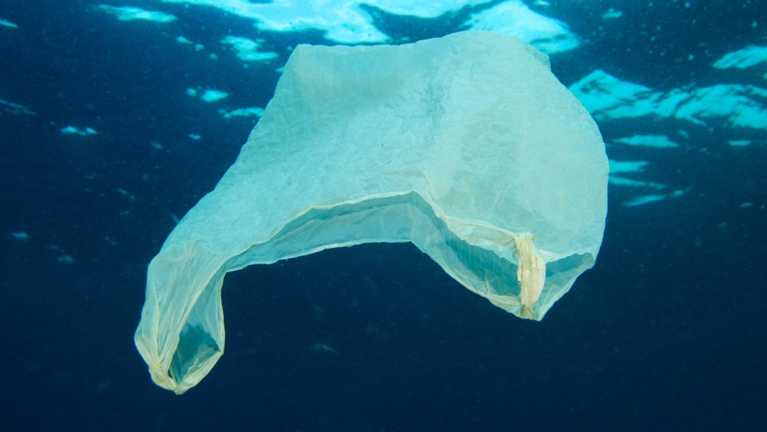 plastic bag in the ocean