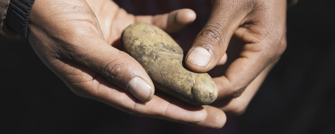 Hands holding a potato