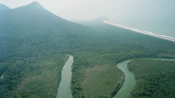 Tropical coastal forest with a river and the sea