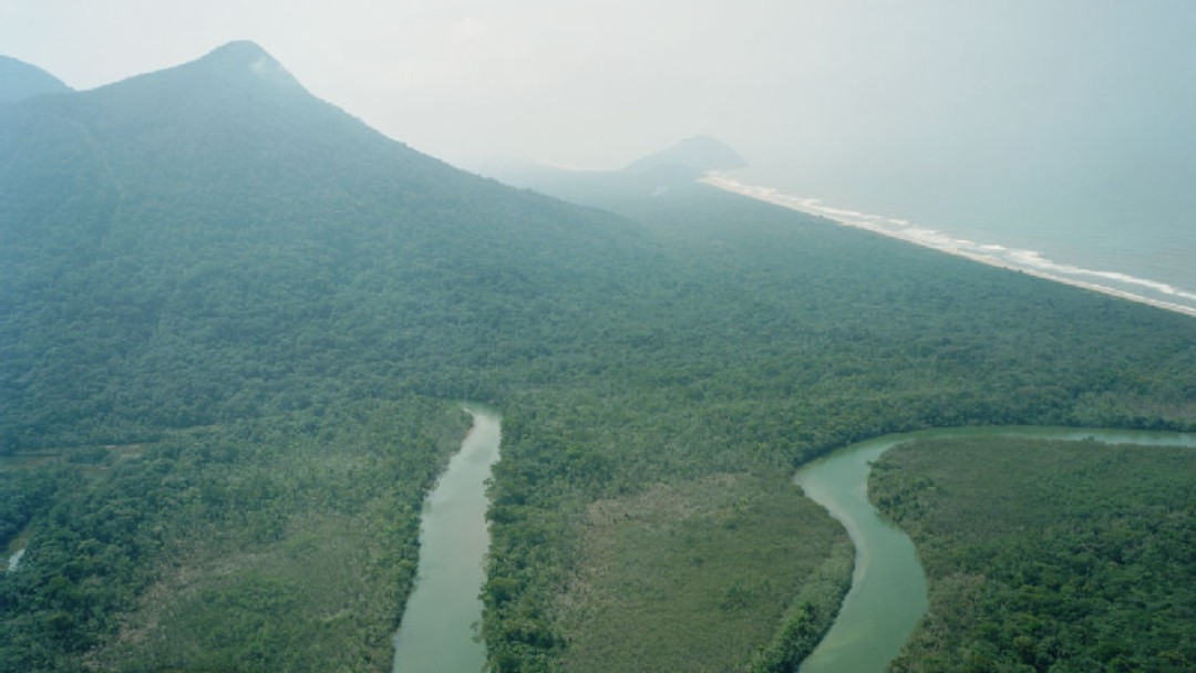 Tropischer Küstenwald mit einem Fluss und dem Meer