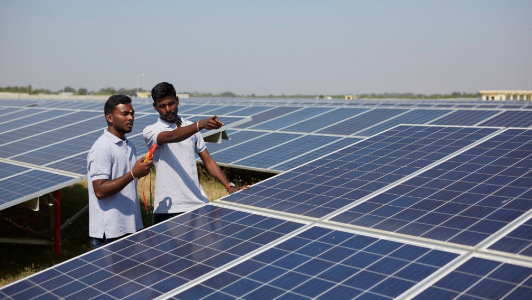 Two workers in a solar panel field