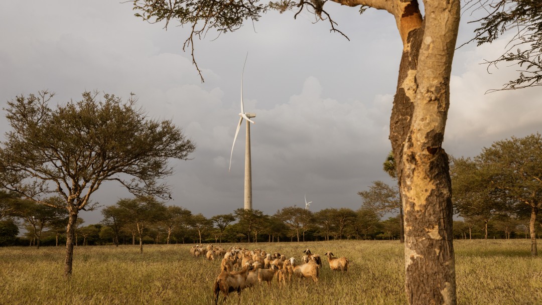 Windpark in Tamil Nadu, Indien