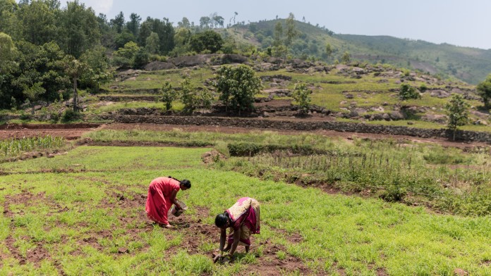 Two women working on a field