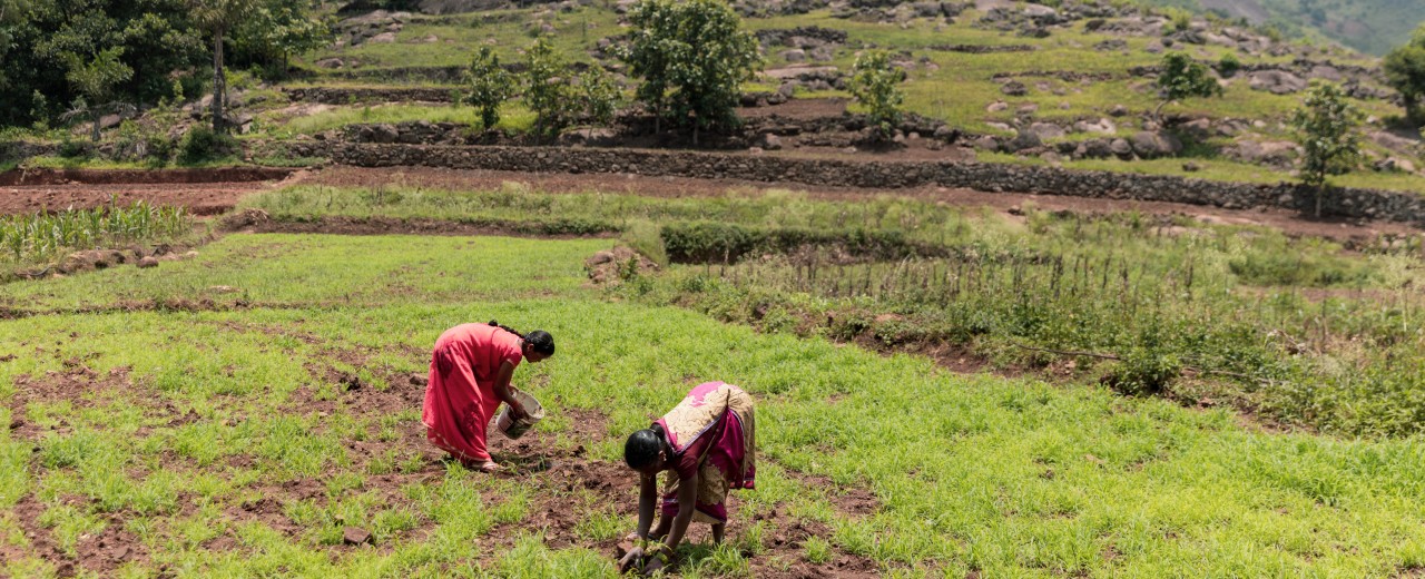 Zwei Frauen arbeiten auf einem Feld