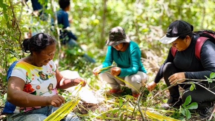 Drei Frauen arbeiten im Wald