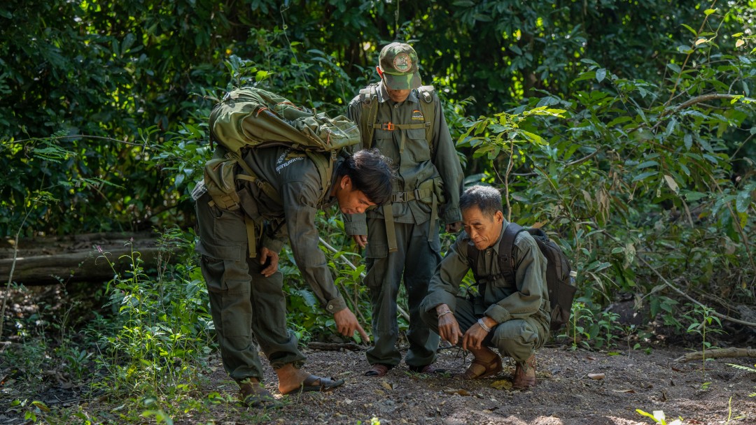 Park-Ranger beim Erkundungsgang im Hin Nam No Schutzgebiet