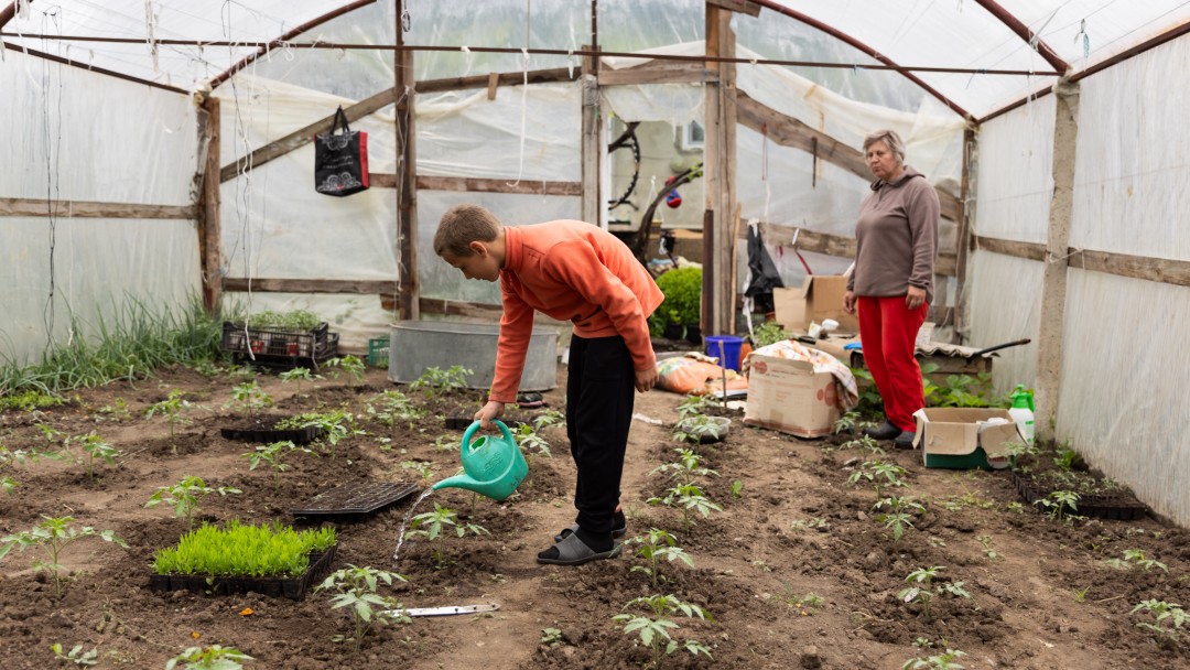 A boy waters plants in a greenhouse