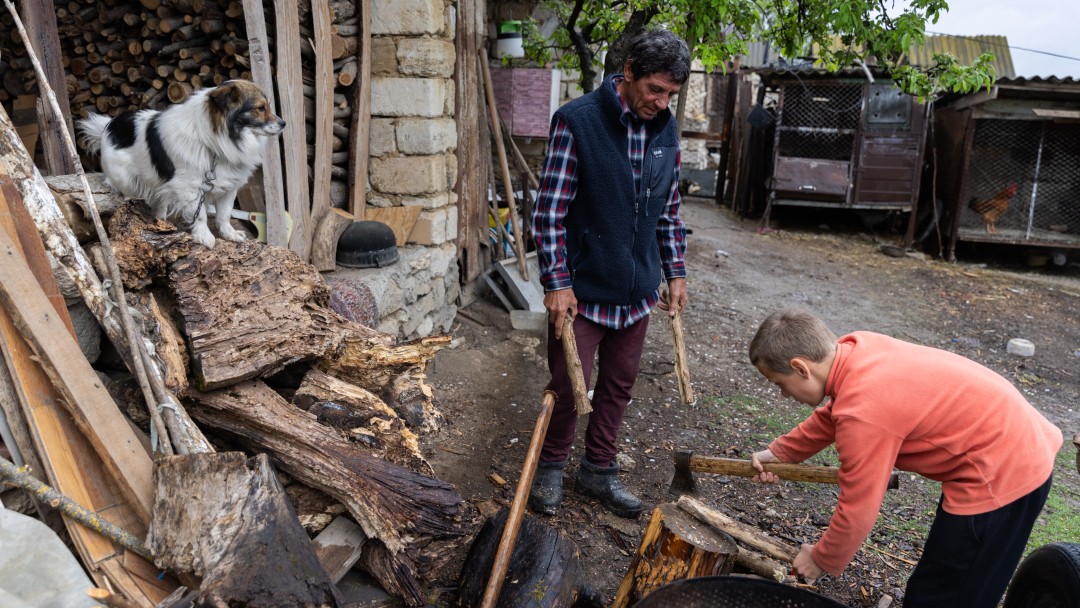 A boy and a man chopping wood in a backyard