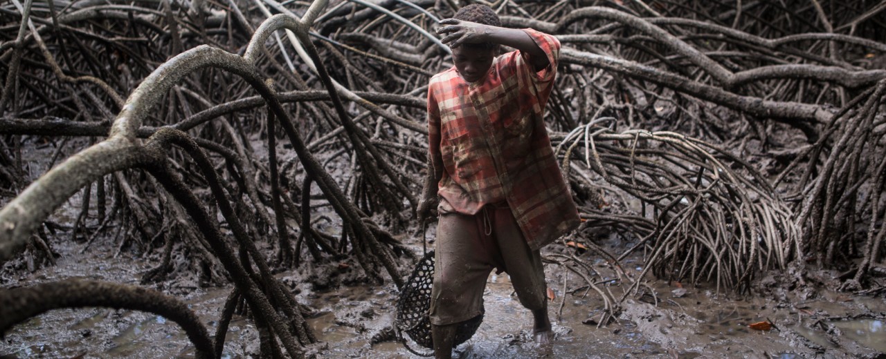 Junge im Mangrovenwald in Kolumbien 