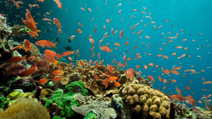 Protecting the environment