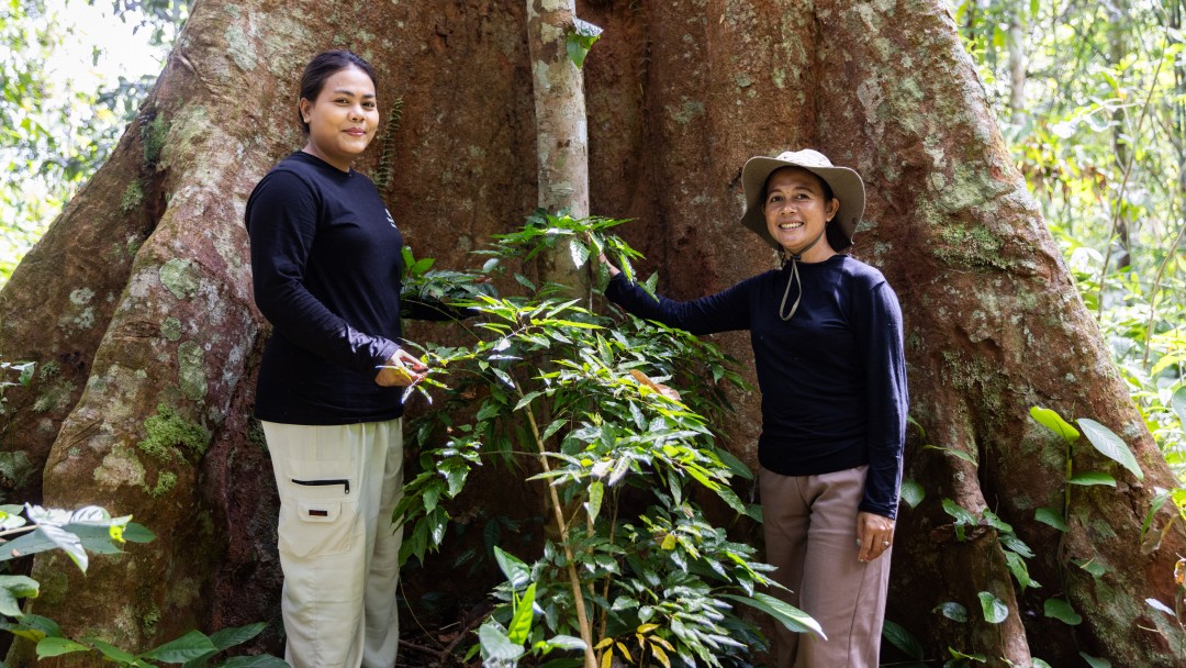 Projektmitarbeiterinnen Katarina Sakira und Monica Sule vor einem alten geschützen Baum