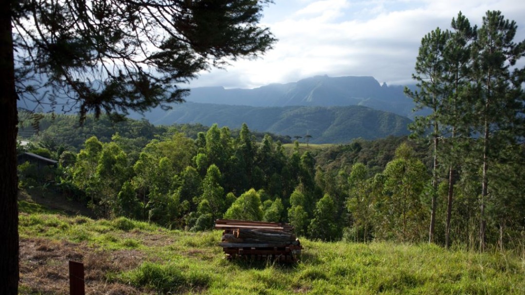 Blick auf Tropenwald und eine Berglandschaft