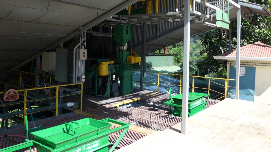 Modern processing machine for coffee