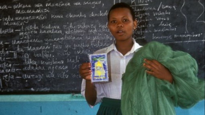 Eine Schülerin steht vor einer Schultafel, mit einem Netz und einem Buch in der Hand und hält ein Referat zum Thema Malaria.