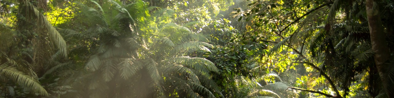 Biodiversity Ecuador