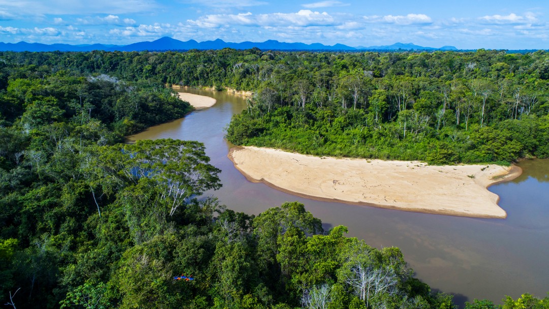 River with Forest