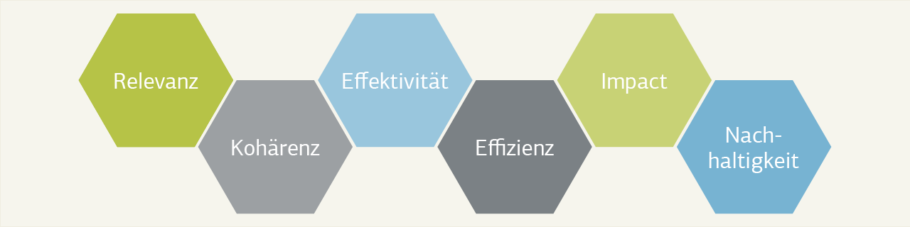 In Waben dargestellte Evaluierungskriterien: Relevanz, Kohärenz, Effektivität, Effizienz, Impact, Nachhaltigkeit