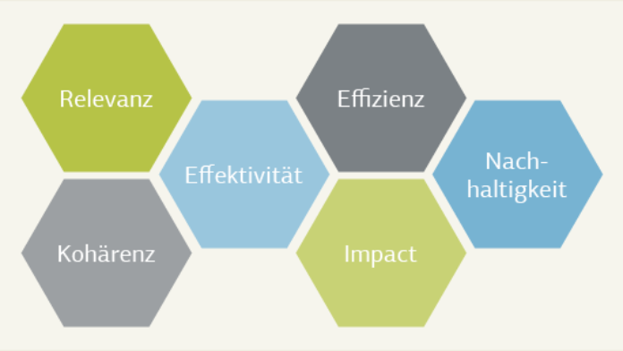 Grafische Darstellung in Waben der 6 Evaluierungskriterien