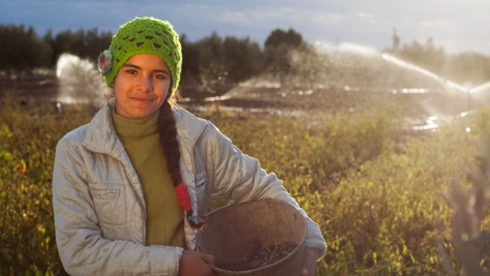 A young woman presents a basket of harvested produce. In the background, fields are being irrigated with sprinklers. 