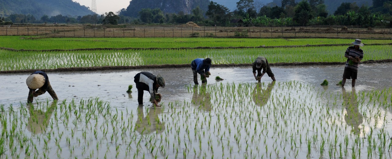 laos