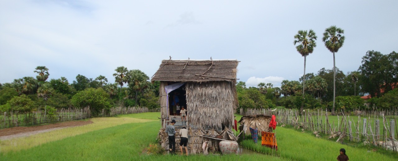 Kambodscha - eine kleine Hütte in einem Reisfeld