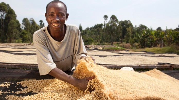 Kaffee, Kenia, Subsahara-Afrika