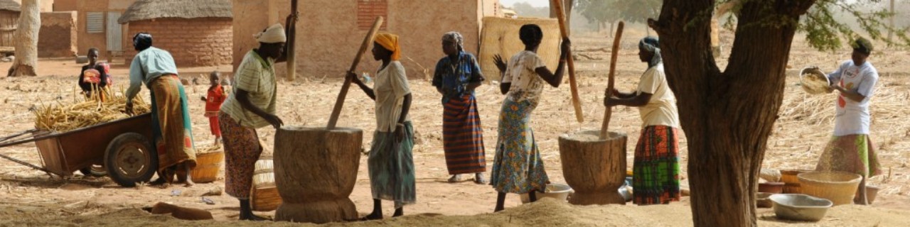 Women stomp millet with large mortars on the village square.
