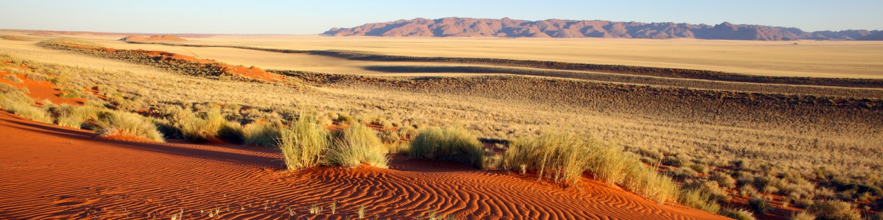 The image shows dunes of red desert sand with tufts of grass