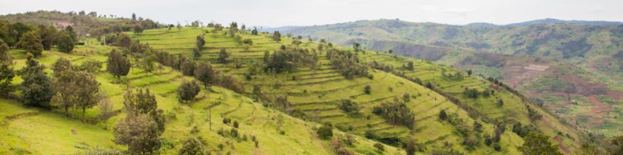 Landscape view in Rwanda