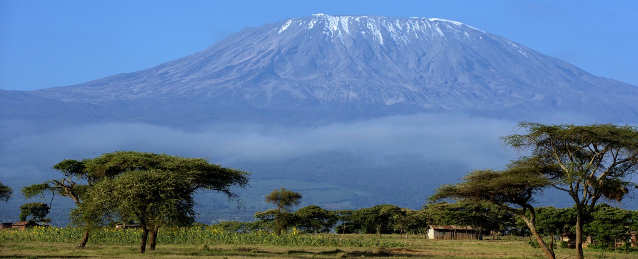 Tansania - Der Kilimanjaro aus der Ferne