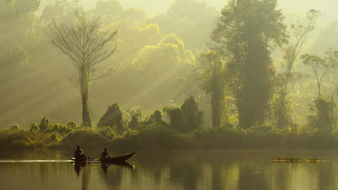 Two people in a boat on the water, behind them trees