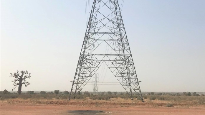 A power pole in the desert, next to it a tree