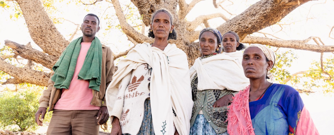 Frauen und Männer unter einem Baum in der Tigray-Region in Äthiopien