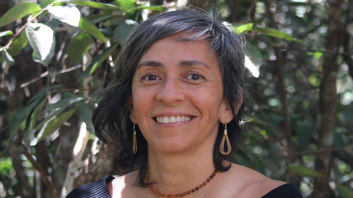 Ane Alencar, Amazon Environmental Research Institute